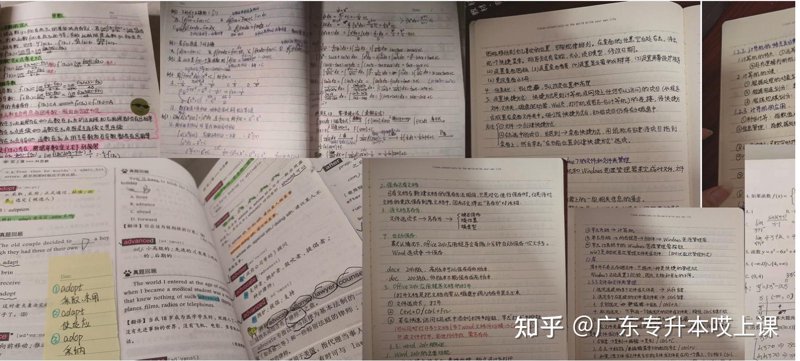 博文初阳官网